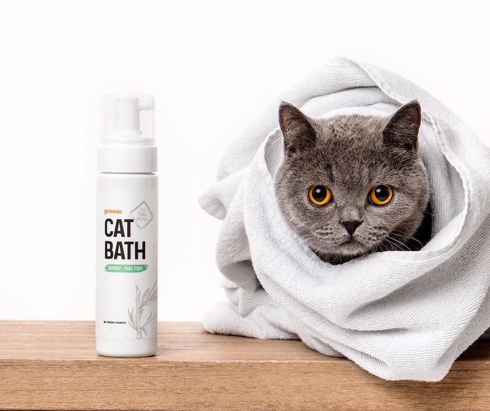 Gato británico de pelo corto envuelto en una toalla junto a la espuma de baño para gatos Litterbox.com