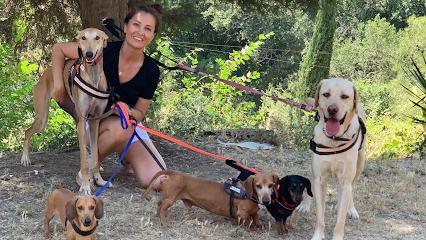 Residència Canina Can Llosses Barcelona - Opiniones y contacto
