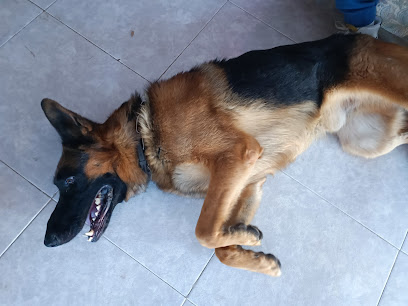 PetPals - Opiniones y contacto PetPals - Opiniones y contacto