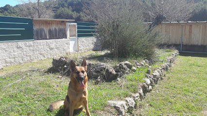 IBERCAN Servicios Caninos - Opiniones y contacto IBERCAN Servicios Caninos - Opiniones y contacto