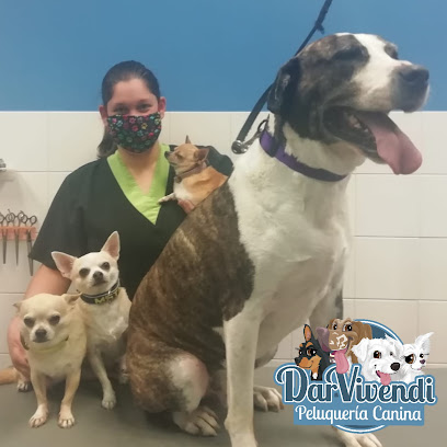 Peluquería Canina Dar Vivendi - Opiniones