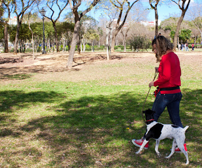 Mejores adiestradores caninos en Sevilla