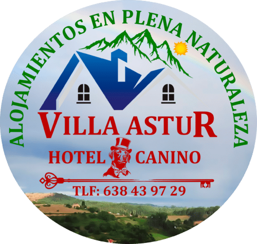 Hotel Canino Villa Astur logo